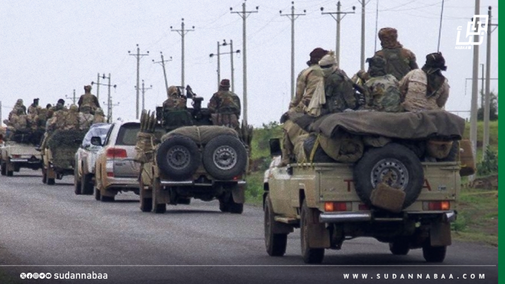 RSF Militia Kills More Than 200 Civilians in North Darfur, Sudan Doctors Network Reports 13 RSF Militia Kills More Than 200 Civilians in North Darfur, Sudan Doctors Network Reports