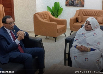 وزيرا الصناعة والتجارة والتعليم العالي يبحثان تعزيز الشراكة لتطوير الصناعة الوطنية