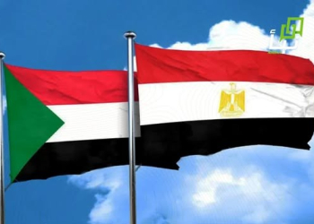 Egypt Rejects Sudan’s Partition, Parallel Entities