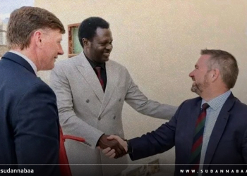حاكم دارفور يلتقي وفدًا بريطانيًا لمناقشة الأمن ومسار السلام في السودان