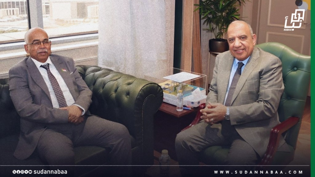 Sudan–Egypt Talks to Enhance Cooperation in Electricity and Renewable Energy