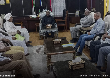 والي الجزيرة يعلن معالجات إسعافية لتحسين الخدمات بأبوقوتة