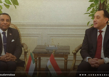 رئيس الوزراء يعقد جلسة مباحثات مشتركة مع نظيره المصري بالقاهرة
