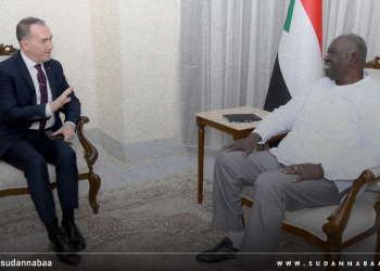 عقار يؤكّد تقدير الحكومة للمواقف التركية الداعمة للسودان وحرصها على تعزيز العلاقات الثنائية بين البلدين