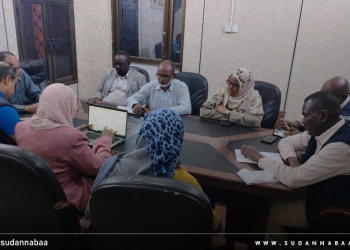 مدير صحة سنار يبحث مع وفد الصحة العالمية تطوير المستشفيات عبر مشروع شير