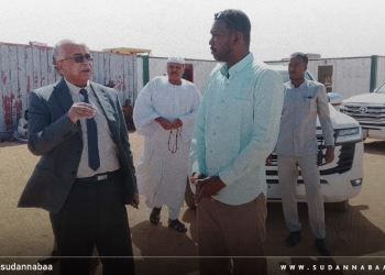 وزير الطاقة يؤكد دور الطاقات المتجددة في دعم النهضة الزراعية والصناعية