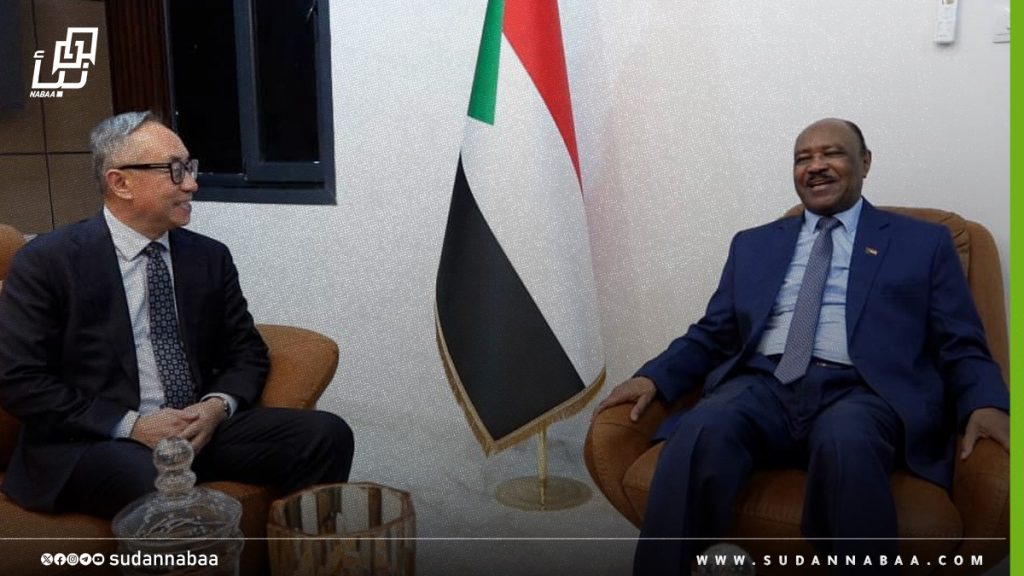 وزير الخارجية يبحث مع المبعوث الأممي للقرن الأفريقي تطورات الأوضاع بالبلاد
