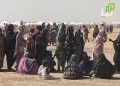 Over 1.3 Million Displaced from Kordofan States, IOM Reports 22 Over 1.3 Million Displaced from Kordofan States, IOM Reports