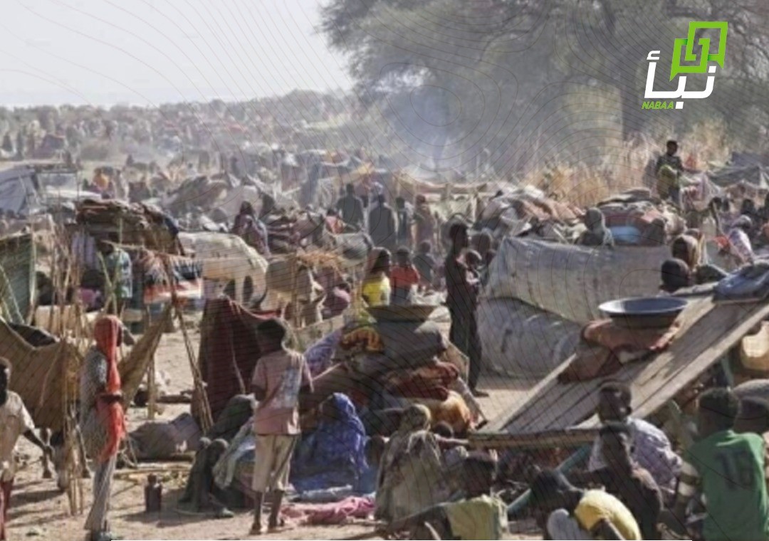 United Nations Voices Grave Concern Over Escalating Violence in Sudan’s Kordofan and Blue Nile