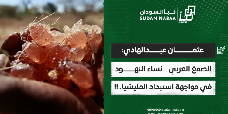 عثمان عبدالهادي: الصمغ العربي… نساء النهود في مواجهة استبداد المليشيا..!!