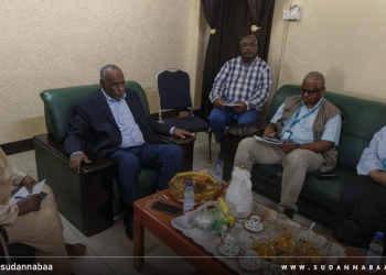 وكيل التربية يبحث مع اليونيسف تعزيز الشراكة لدعم التعليم في السودان
