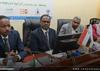 الصحة الاتحادية تعقد الاجتماع السنوي لمنسقي الصحة الإنجابية وصحة الطفل