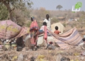 RSF Attack on West Kordofan Village Leaves One Dead, Three Injured