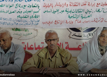 ورشة إرشادية لصغار المنتجين بسنار حول استخدام التقانات الزراعية الحديثة