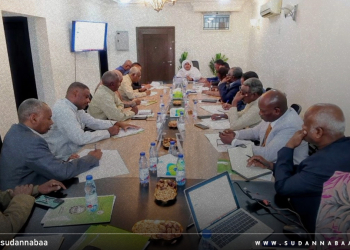 وزيرة الصناعة والتجارة تترأس اجتماع لجنة تنظيم التبادل التجاري مع دول الجوار
