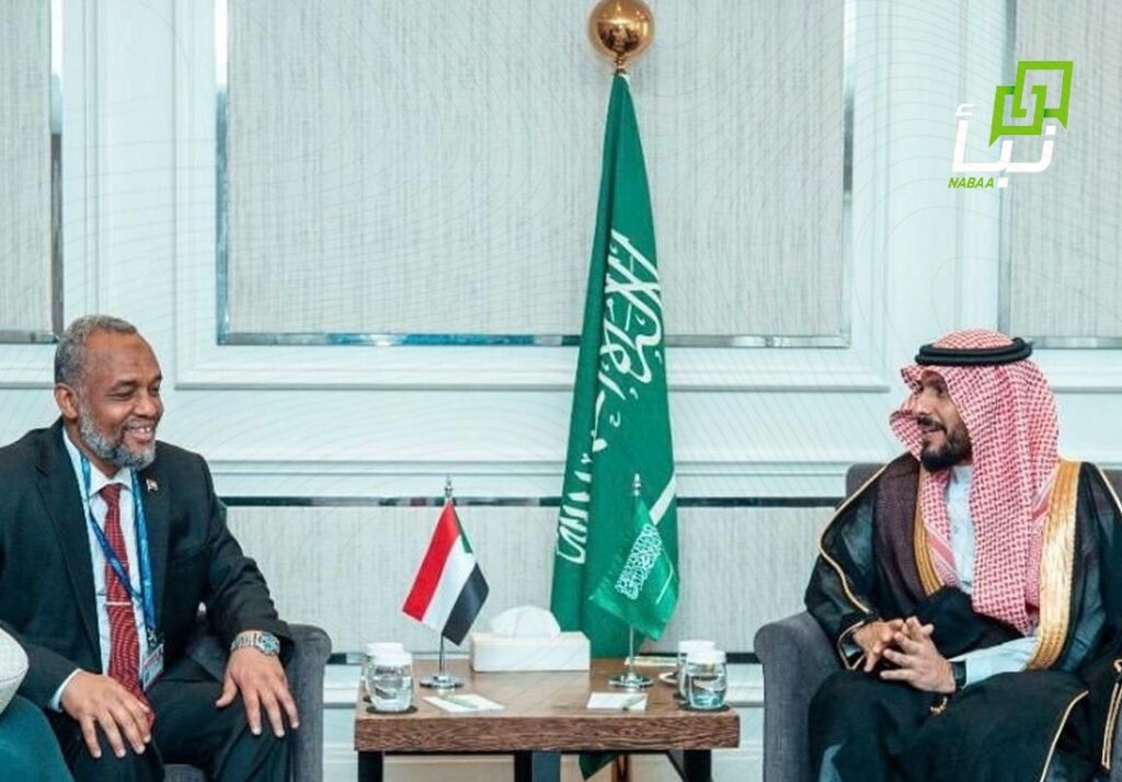 Saudi Health Minister
