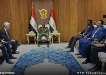 البرهان يلتقي وفد البرلمان الفرنسي ويبحث تطورات الأوضاع في السودان