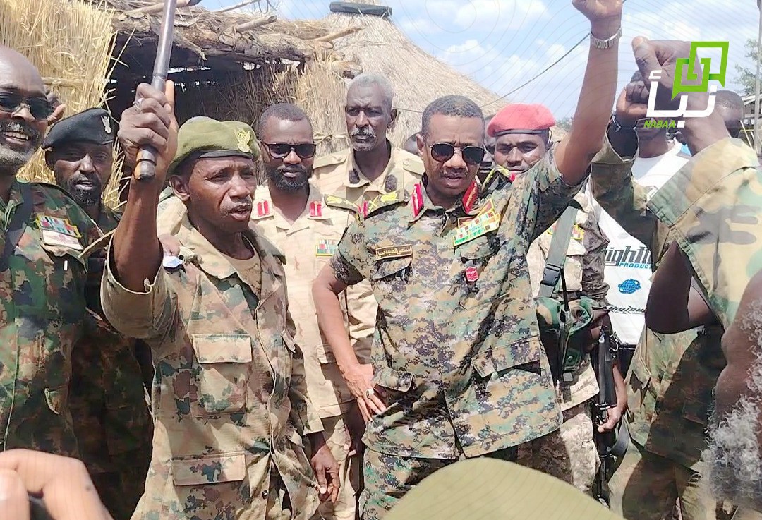 SAF Announces Retake of Karan and Dokan Areas in Blue Nile Following Fierce Battles with RSF Militia
