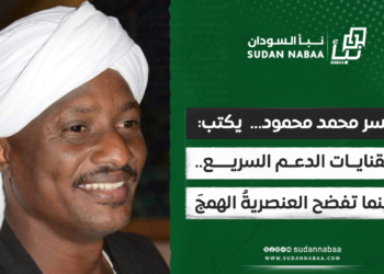 ياسر محمد محمود... يكتب: فلقنايــات الدعــم السريــع.. حينما تفضح العنصريةُ الهمجَ 13 ياسر محمد محمود… يكتب: فلقنايــات الدعــم السريــع.. حينما تفضح العنصريةُ الهمجَ