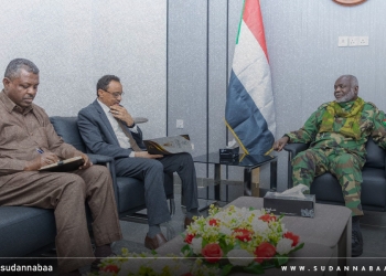 وزير المالية: التعليم العالي والبحث العلمي ركيزة أساسية للتنمية