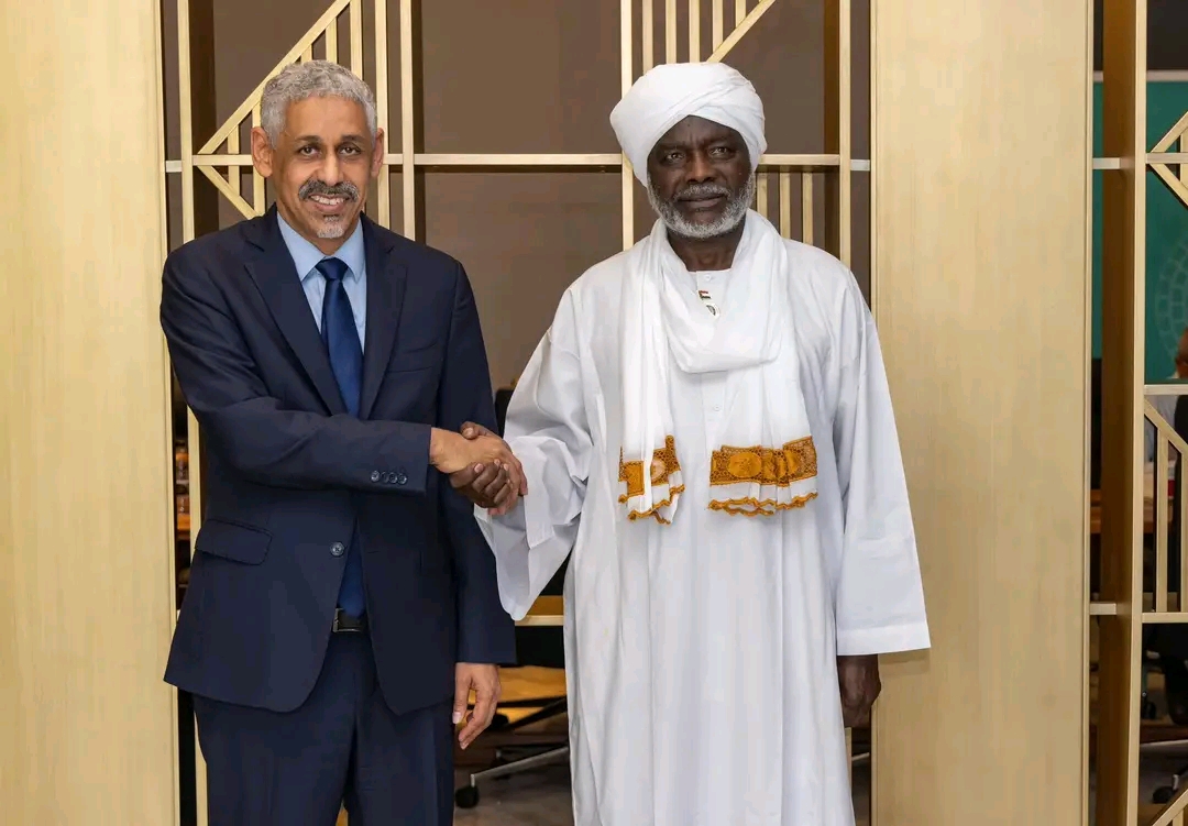 Finance Minister Discusses Reconstruction and Agriculture Support with AfDB President