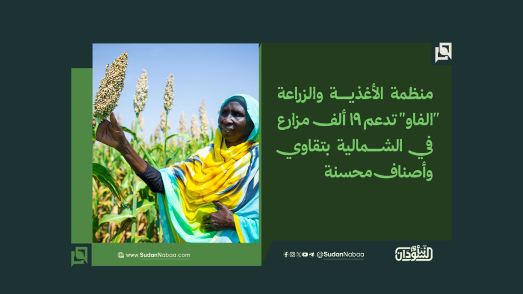 منظمة الأغذية والزراعة "الفاو" تدعم 19 ألف مزارع في الشمالية بتقاوي وأصناف محسنة 1 موقع2 7