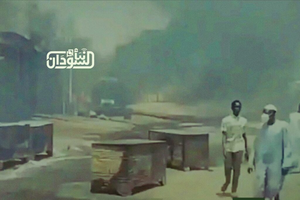 RSF Drones
