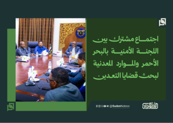 اجتماع مشترك بين اللجنة الأمنية بالبحر الأحمر والموارد المعدنية لبحث قضايا التعدين