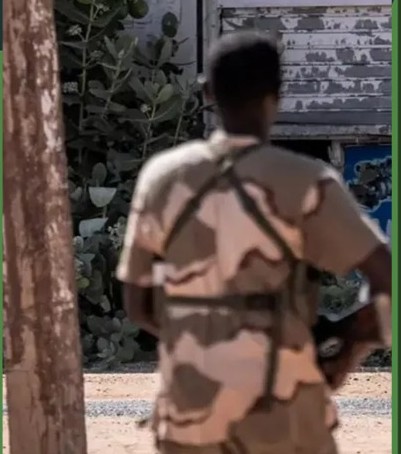 JUST SECURITY: Ending Sudan War Requires Cutting Off External Funding and Arms Supplies from RSF Militia 4 JUST SECURITY: Ending Sudan War Requires Cutting Off External Funding and Arms Supplies from RSF Militia