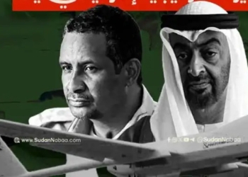 A report from an American university… A UAE strategic drone in Nyala 11 A report from an American university… A UAE strategic drone in Nyala