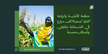 منظمة الأغذية والزراعة "الفاو" تدعم 19 ألف مزارع في الشمالية بتقاوي وأصناف محسنة 3 منظمة الأغذية والزراعة “الفاو” تدعم 19 ألف مزارع في الشمالية بتقاوي وأصناف محسنة