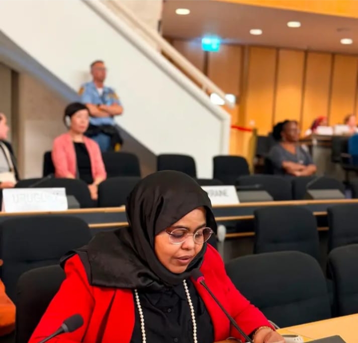 Sudan Delivers Arab Group Statement on International Day of Women in Diplomacy