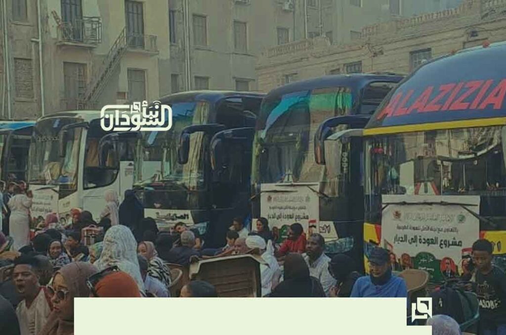 تفويج أساتذة الجامعات من مصر