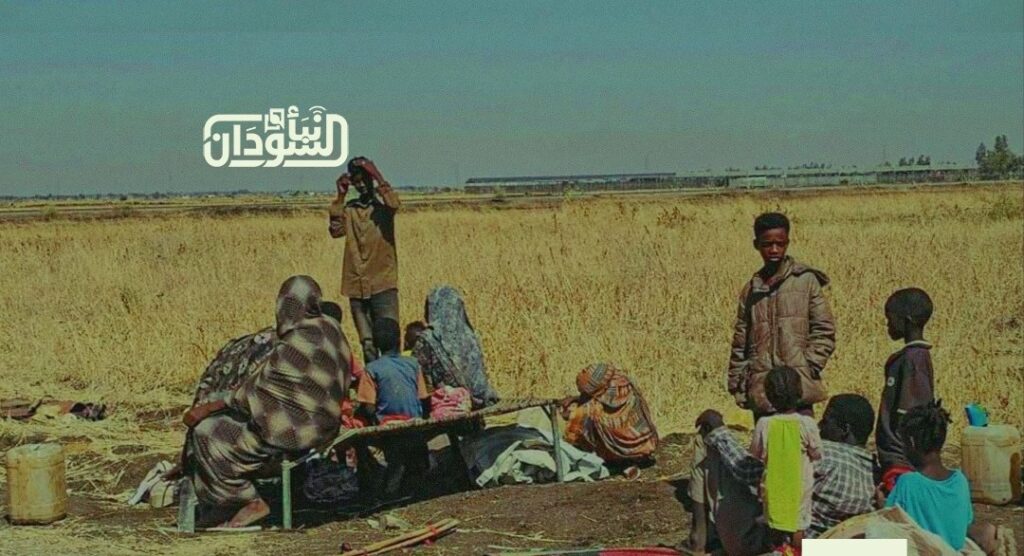 IOM: Over 87,000 Displaced in Kordofan Over Past Four Months Amid Escalating Violence 1 منظمة الهجرة