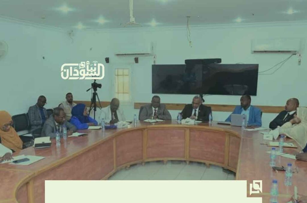 Health Minister Chairs First Meeting of National Anti-Drug and Addiction Committee 1 وزير الصحة يترأس