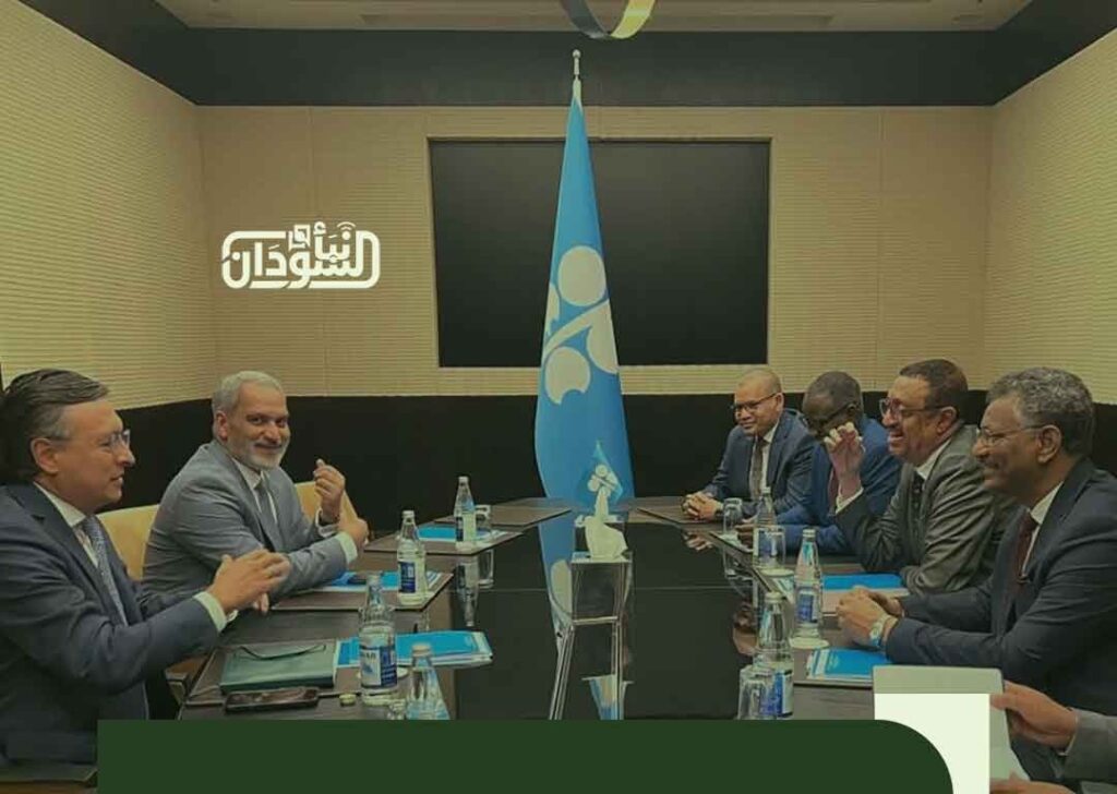 وكيل الطاقة