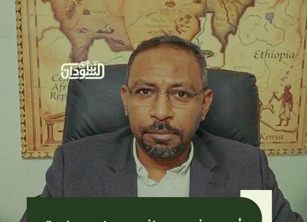 TSC President’s Adviser, Turkish Parliament Defense Committee Chairman Agree on RSF Terrorist Designation 1 Amjad Farid