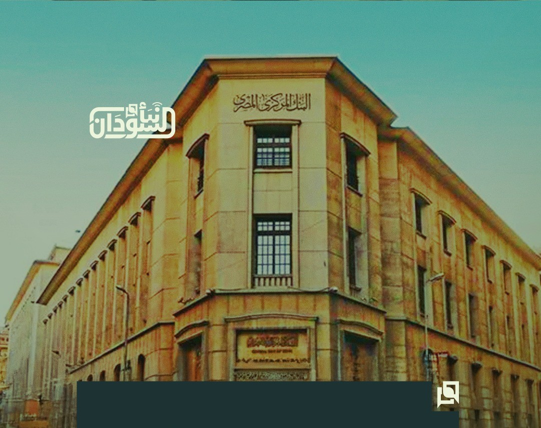 Egypt’s Central Bank Reports Rise in Foreign Exchange Reserves to $55.07 Billion at End of June