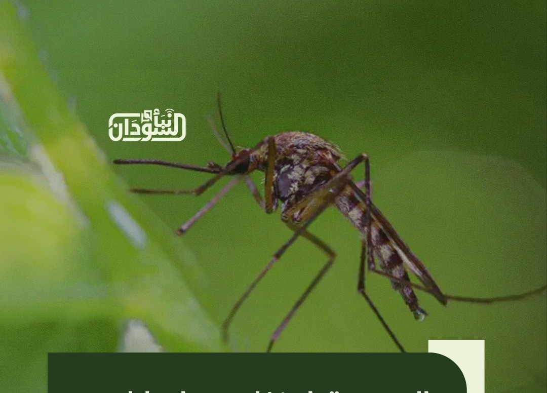 Dengue Fever Cases Decline Across Six Sudanese States 10 Dengue Fever Cases Decline Across Six Sudanese States