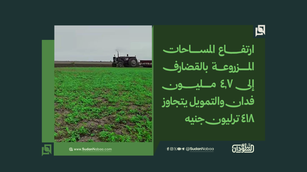 موقع2 14