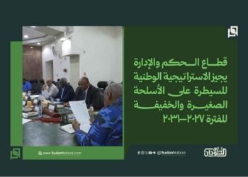 قطاع الحكم والإدارة يجيز الاستراتيجية الوطنية للسيطرة على الأسلحة الصغيرة والخفيفة للفترة 2027–2031