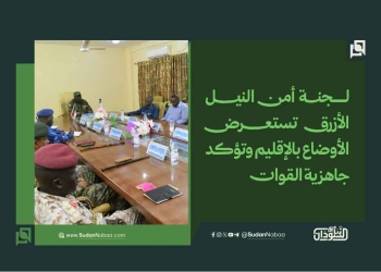 لجنة أمن النيل الأزرق تستعرض الأوضاع بالإقليم وتؤكد جاهزية القوات