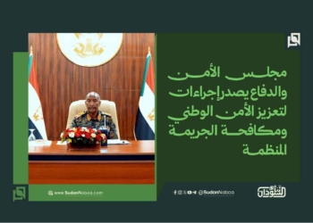 مجلس الأمن والدفاع يصدر إجراءات لتعزيز الأمن الوطني ومكافحة الجريمة المنظمة