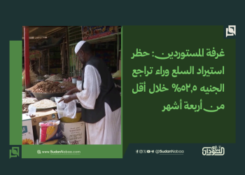 غرفة المستوردين: حظر استيراد السلع وراء تراجع الجنيه 52.5% خلال أقل من أربعة أشهر