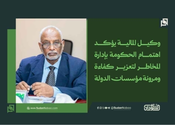 وكيل المالية يؤكد اهتمام الحكومة بإدارة المخاطر لتعزير كفاءة ومرونة مؤسسات الدولة