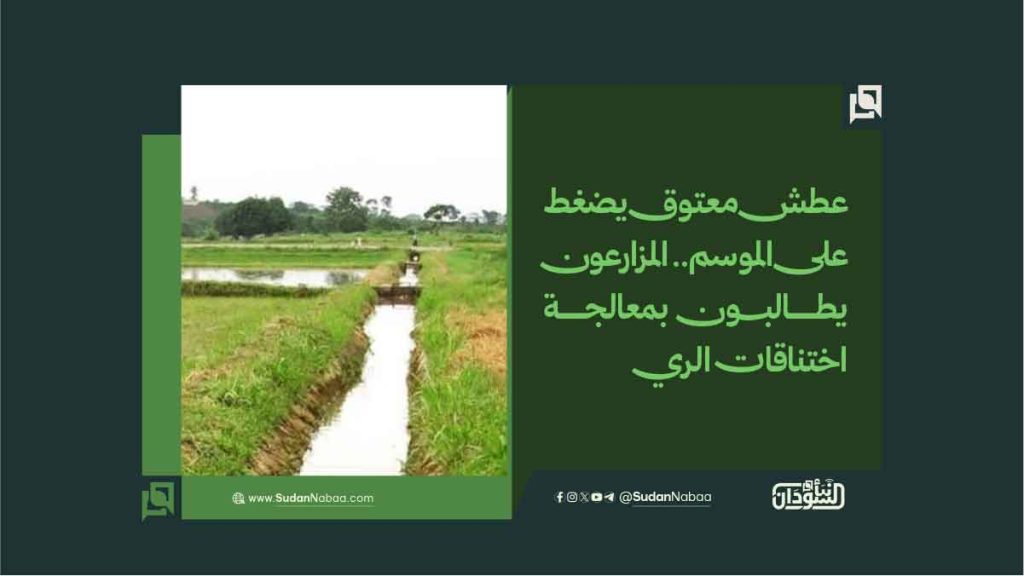 عطش معتوق يضغط على الموسم. المزارعون يطالبون بمعالجة اختناقات الري