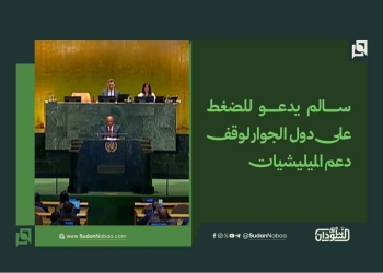 سالم يدعو للضغط على دول الجوار لوقف دعم الميليشيات 16 سالم يدعو للضغط على دول الجوار لوقف دعم الميليشيات