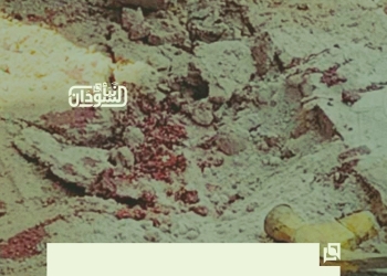 Cleaner Killed, Another Injured in Explosive Remnant Blast at University of Khartoum