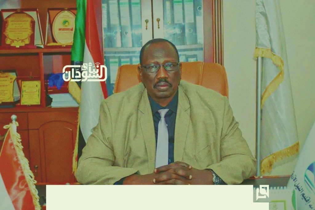 Blue Nile Region Governor Affirms Stability of Security Situation 1 Badi Says Situation in Blue Nile is Stable