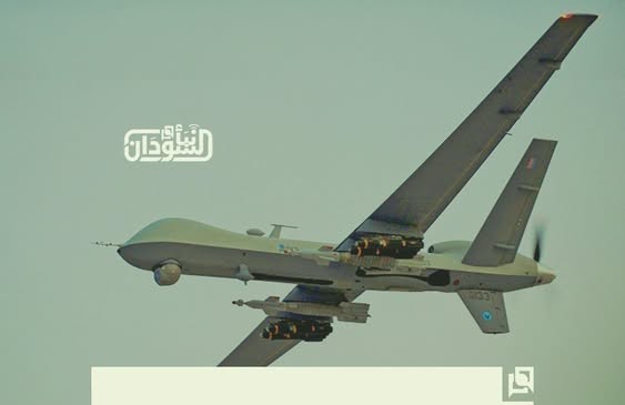 Governor of Blue Nile Region: Militia Systematically Destroying Civilian Institutions